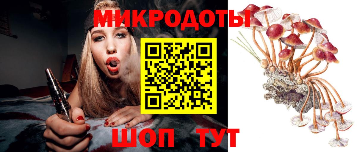 Галлюциногенные грибы Cubensis Долгопрудный