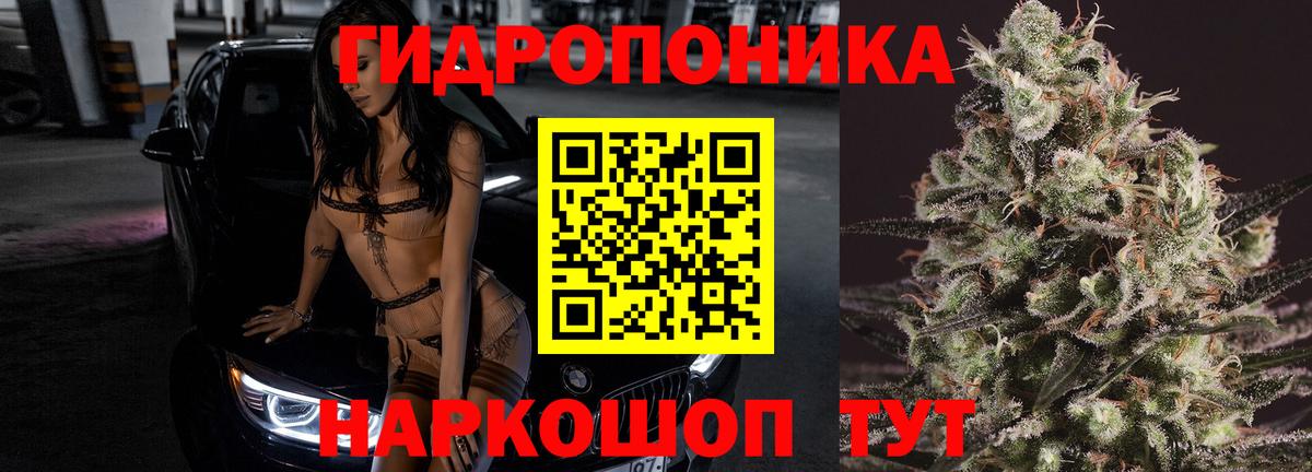 Каннабис план  Канабис LSD WEED  Долгопрудный  Вход с VPN 